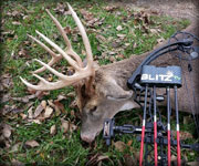 MoDeerHunts - Hunting Photos