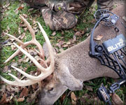 MoDeerHunts - Hunting Photos